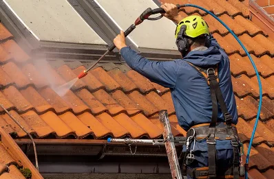 Démoussage et hydrofuge de toiture à Cannes-Écluse